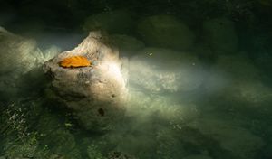 A ray of light