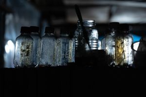 Empty bottles