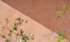 Diagonal