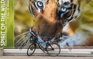 Spirit of the wild