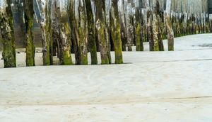 Tidal marks