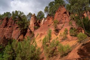 Colorado red