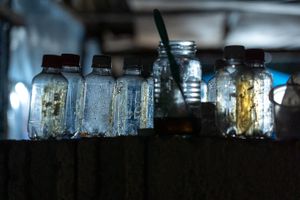 Condiments