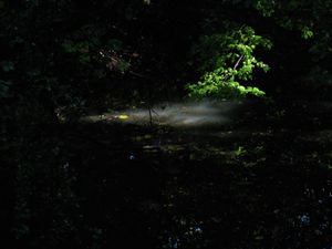 A ray of light