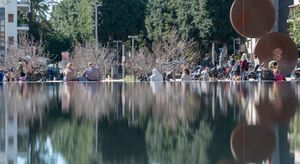 Reflections