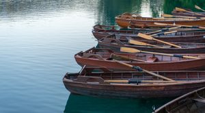 Bled boats