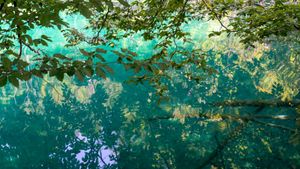 Reflections