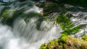 Waterfalls