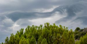 Spirits in the sky
