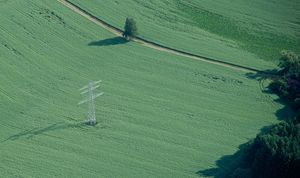Mast
