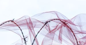 Red net