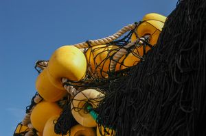 Fishing nets