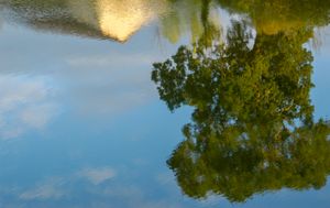 Morning on the river