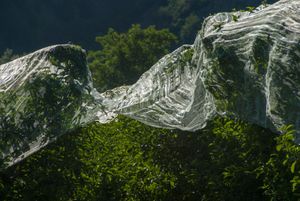 Voile