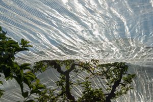 Voile 3