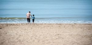 Shell-picking