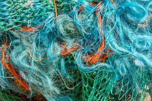 Fish nets