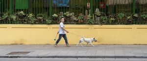 Walk your dog