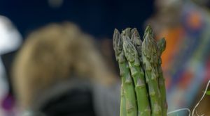 Green French asparagus