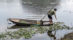 Fishing