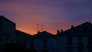 Aerials in Versailles