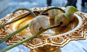 Flower offers