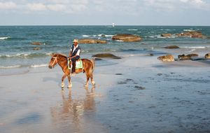Horseback
