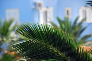 Bokeh