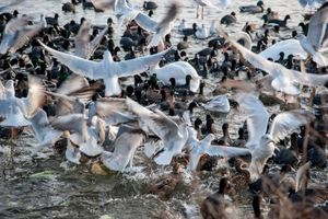 Busy airspace