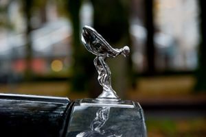 Silver shadow