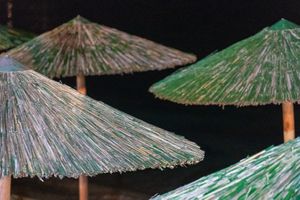 Mushrooms