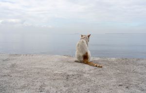 Waiting