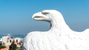 White eagle of Haifa