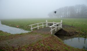 Elswout
